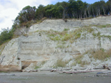 Strata exposed at Discovery Park photo