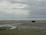 Puget Sound photo