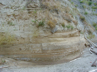 Discovery Park photo