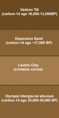 
Discovery Park Stratigraphy