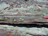 Grinnell Formation photo