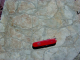 Grinnell Formation mudcracks photo