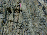 folded turbidites photo