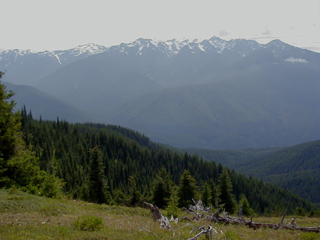 View of Olympic Mountains from Hurricane Ridge photo