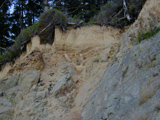 marine terrace deposit photo