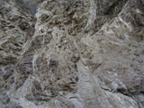 melange photo