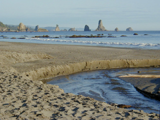 Sea Stacks at 3rd Beach photo