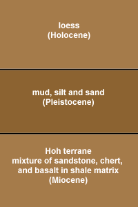 LaPush Stratigraphy
