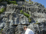 stromatolites photo