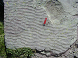 ripple marks in Belt rocks photo
