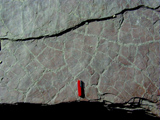 mud cracks photo