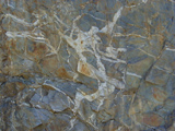 Skagit Gneiss photo