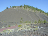 Lava Butte cinder cone photo