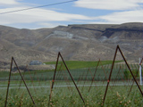 Basalt flows and ash interbeds photo