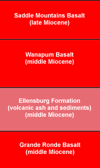 Priest Rapids Stratigraphy