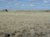 landscape photo